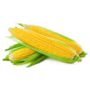Sweet Corn – Image 2