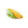 Sweet Corn – Image 3