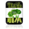 Sprouting Broccoli – Image 4